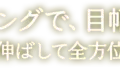 ラッシュエキスパンダー 孔雀ロング新登場