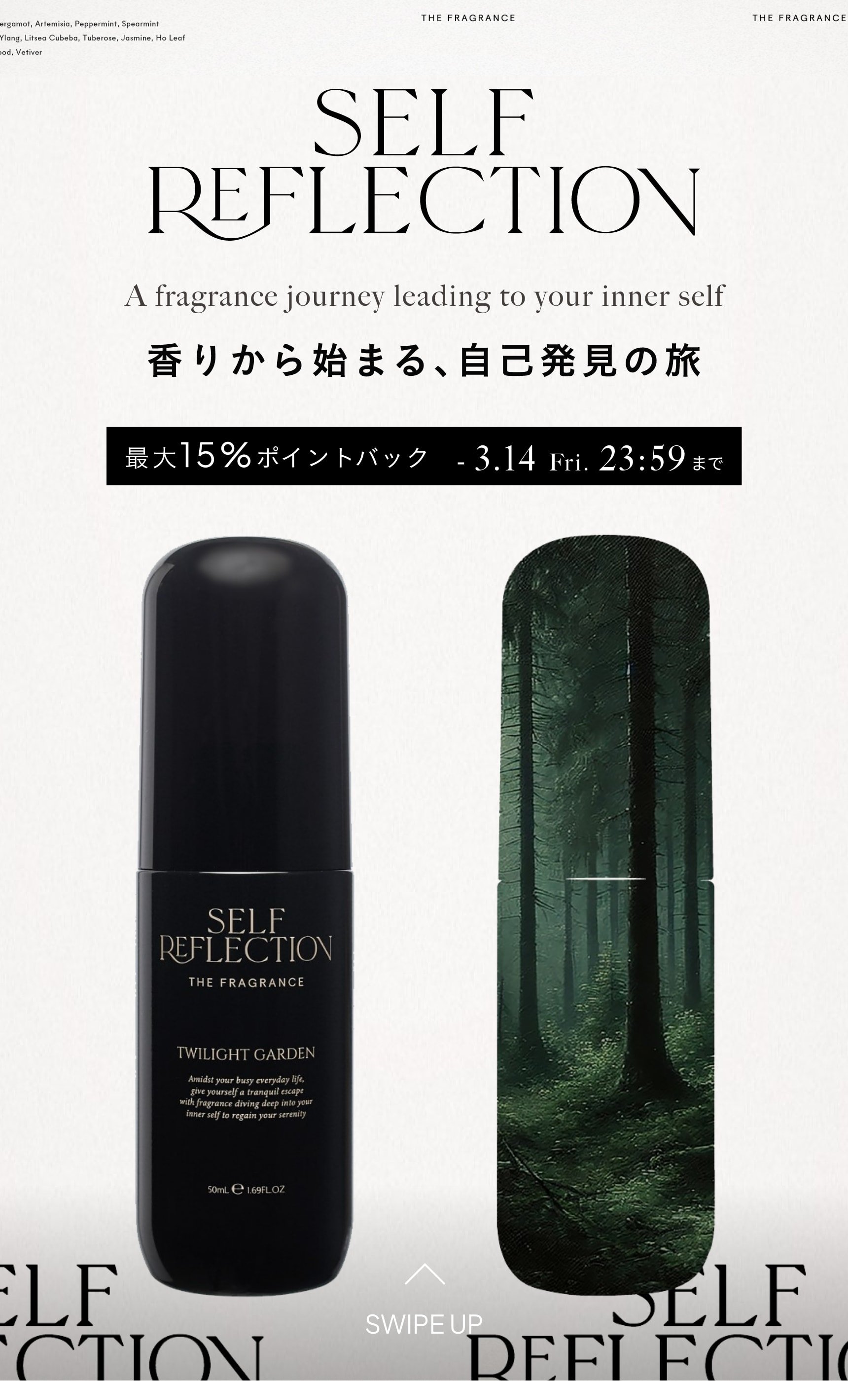 ギフトにもぴったりなSELF REFLECTIONが最大15％ポイントバック