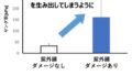 紫外線ダメージを受けたコラーゲン細胞に 「加水分解コラーゲン」や「ビタミンC誘導体」を加えることで 本来の柔軟性を持つコラーゲン線維を生み出す効果を発見