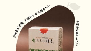 とにかくすっきりしたいあなたに青パパイヤ酵素